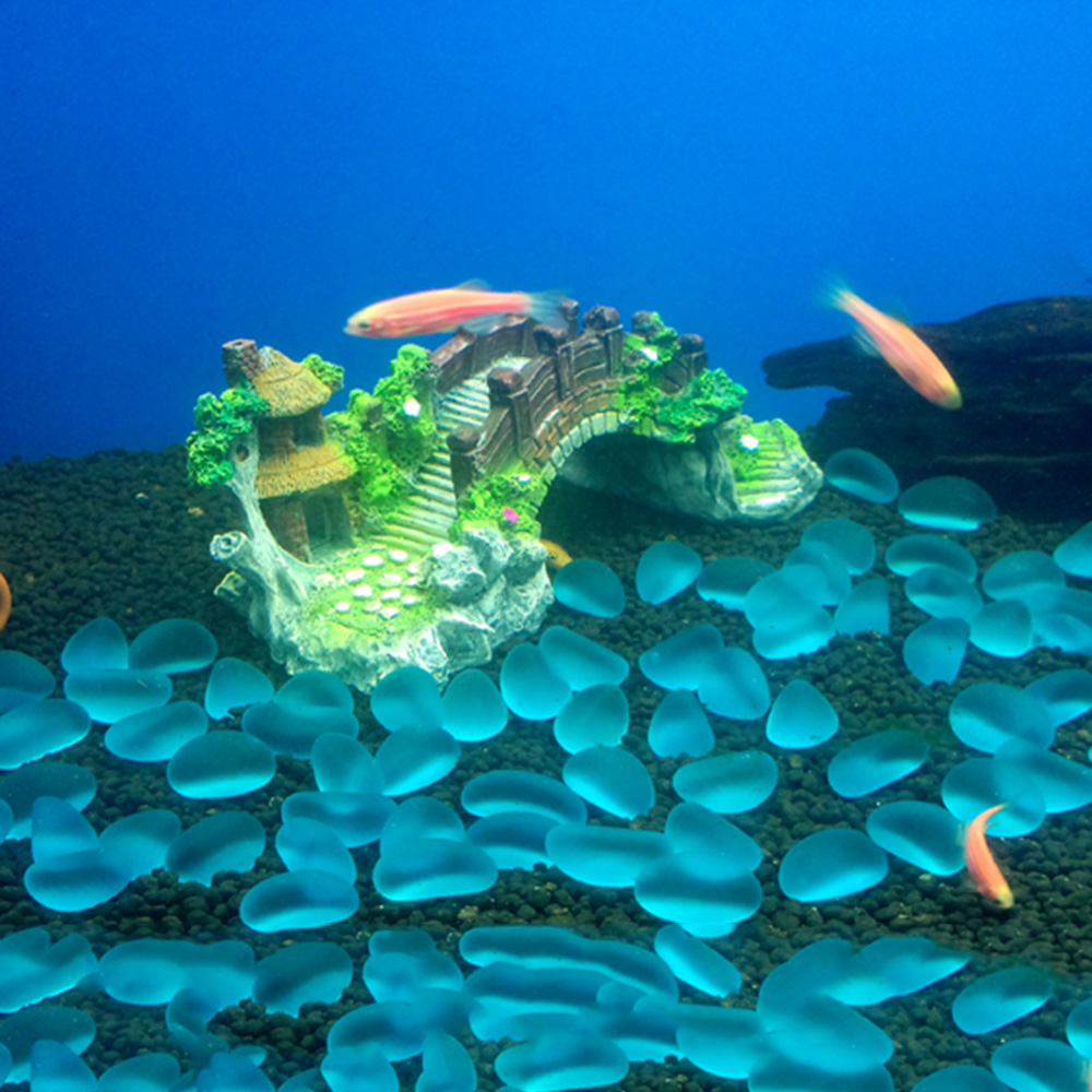 Accessori per acquari Albero p - Aquarium Fish Games recensione e prezzo
