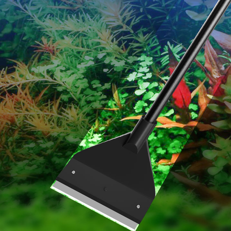 Strumento per la Pulizia dell' - Algae Scraper Blade recensione e prezzo
