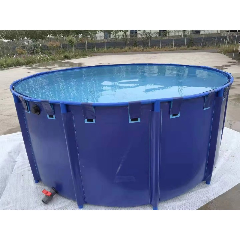 Vasca per Pesci da Allevamento - Aquarium Fish Big Size recensione e prezzo