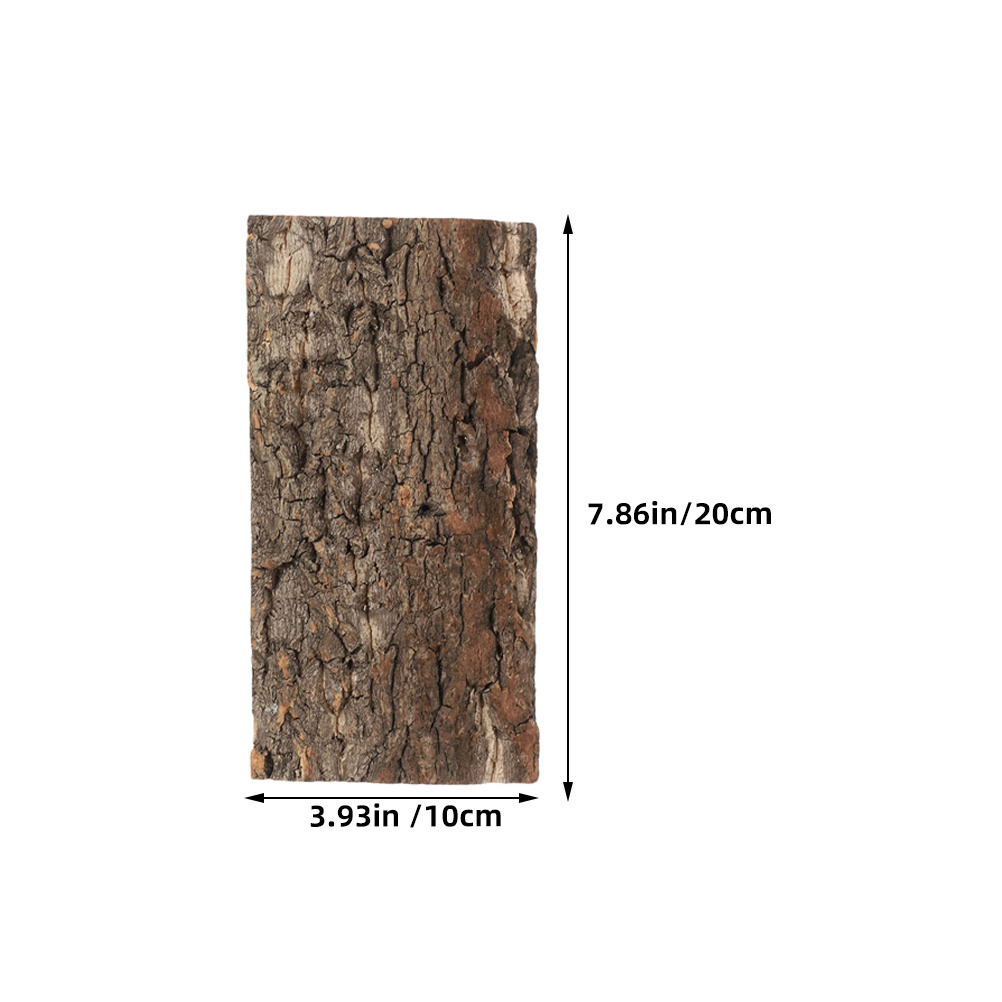 3 pezzi di corteccia di sugher - Aquarium Fish Background recensione e prezzo