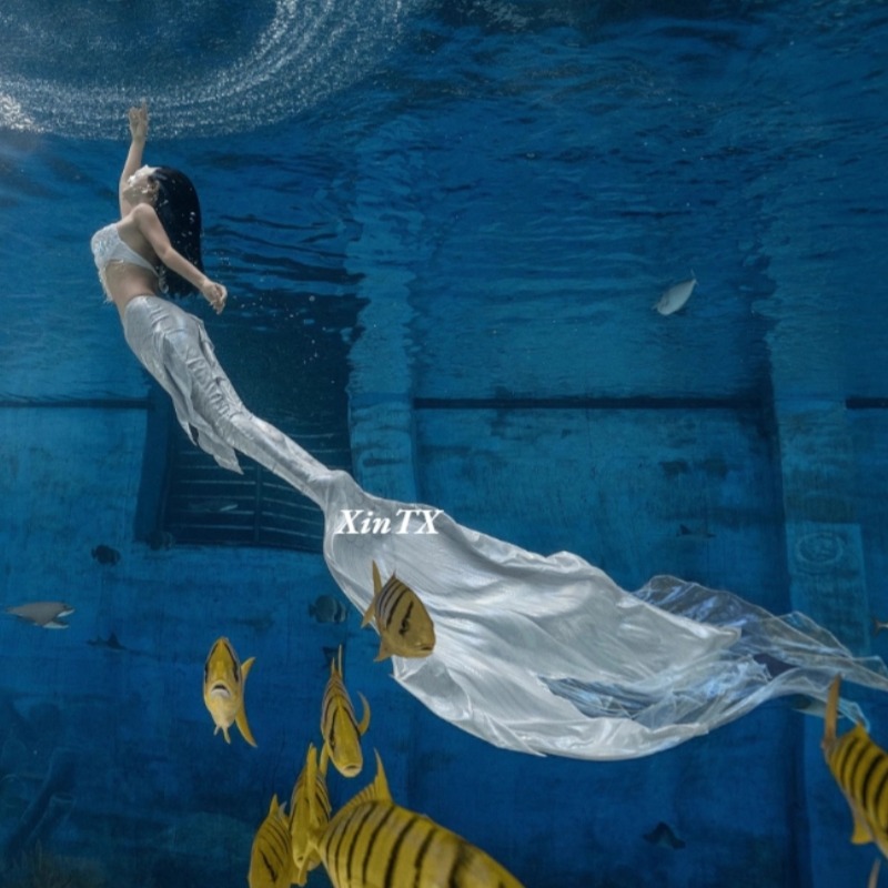 Coda di pesce sirena simulata  - Aquarium Fish Big Size recensione e prezzo