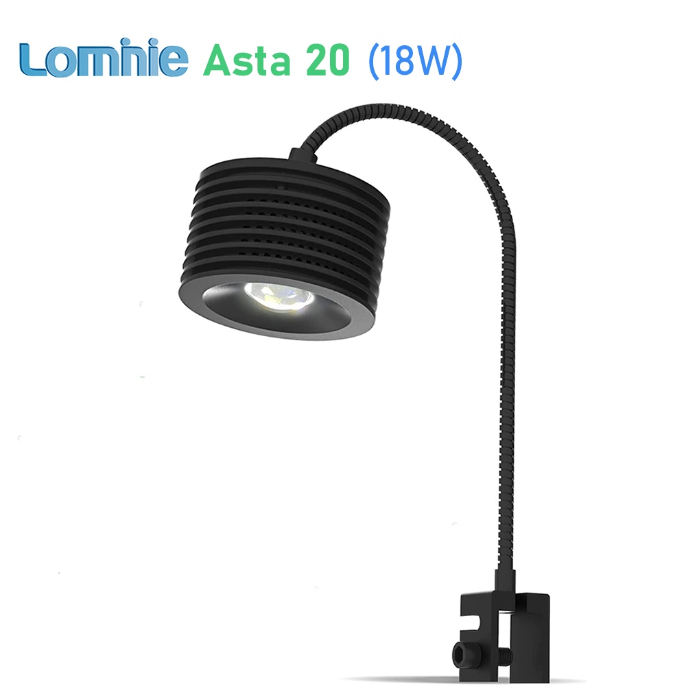 Lominie Asta 20 Acqua dolce 18 - Refugium Light Nano recensione e prezzo