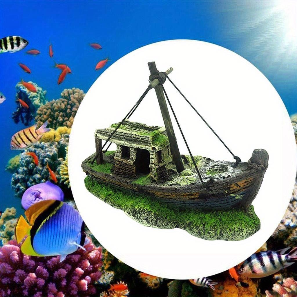 Acquario Acquario Paesaggio Wr - Aquarium Fish For Sale Online recensione e prezzo