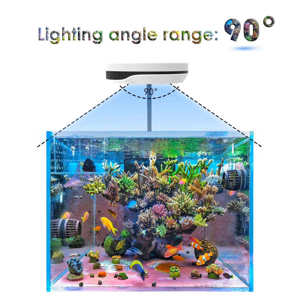 Lampada LED per Acquario da 20 - Refugium Light Nano recensione e prezzo